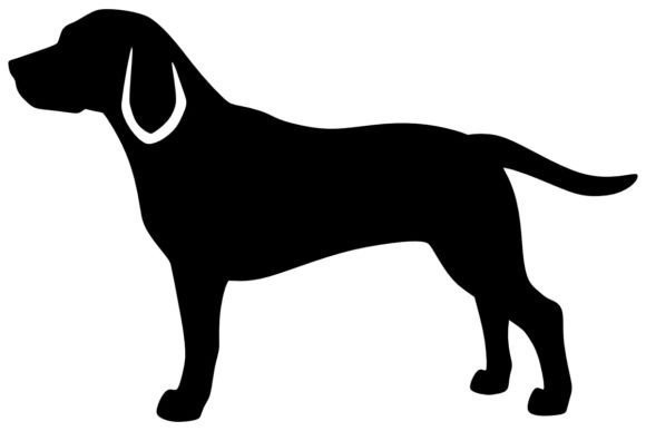 Beagle 1 Procreate Brush Stamp Guide
