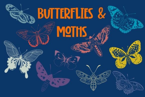 Butterflies and Moths Procreate Guide