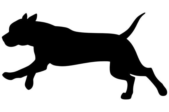 Pitbull 3 Procreate Brush Stamp Guide